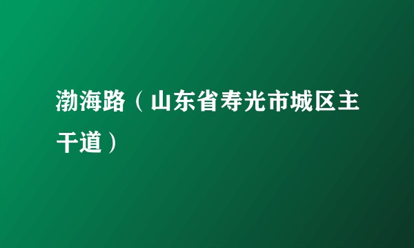 渤海路（山东省寿光市城区主干道）