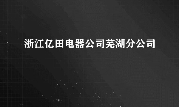 浙江亿田电器公司芜湖分公司