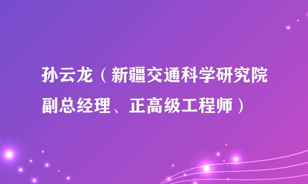 孙云龙（新疆交通科学研究院副总经理、正高级工程师）
