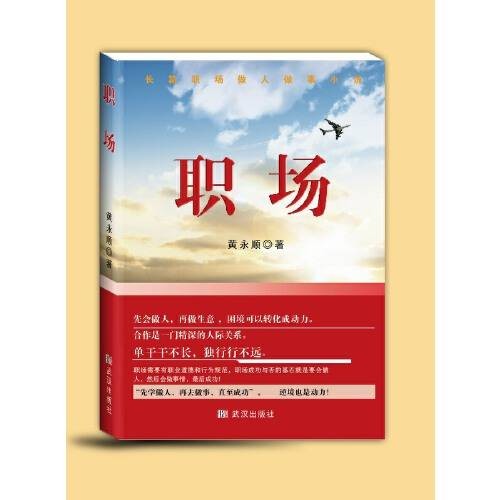 职场（2016年武汉出版社出版的图书）