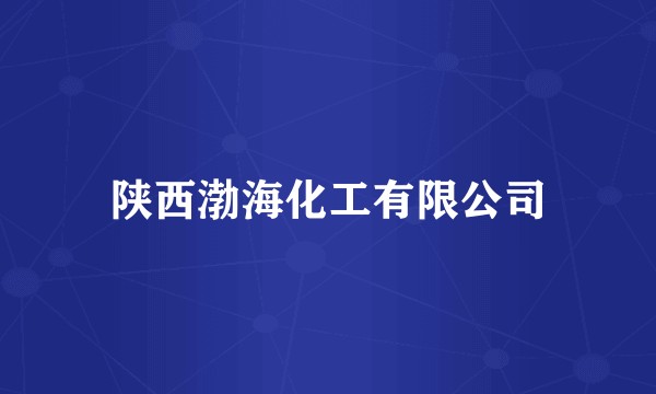 陕西渤海化工有限公司