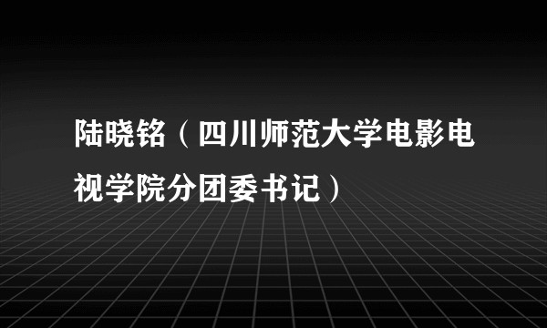 陆晓铭（四川师范大学电影电视学院分团委书记）