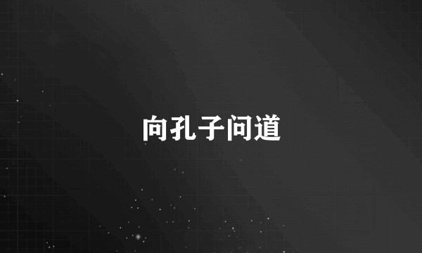向孔子问道