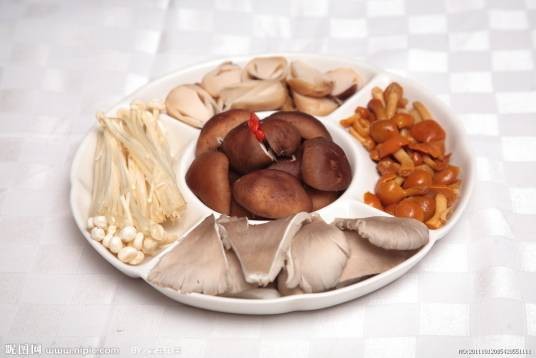 食用菌（可食用的大型真菌）