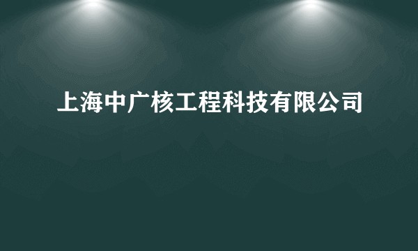 上海中广核工程科技有限公司