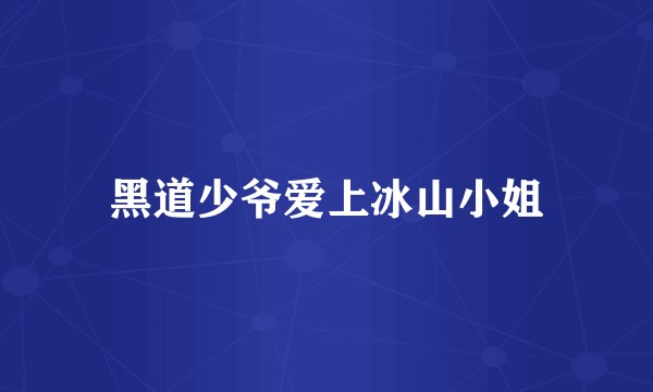 黑道少爷爱上冰山小姐