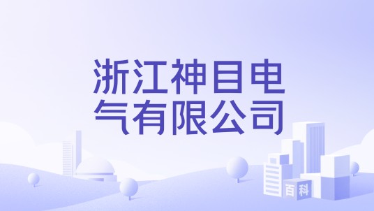 浙江神目电气有限公司