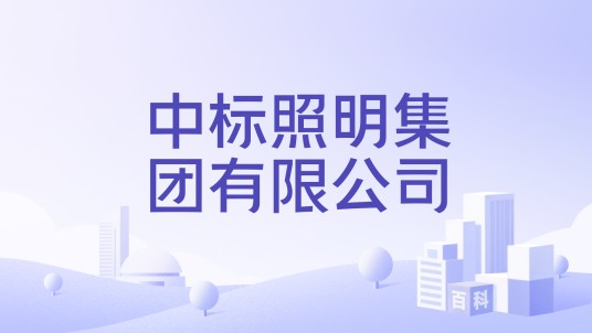 中标照明集团有限公司