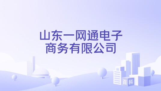 山东一网通电子商务有限公司