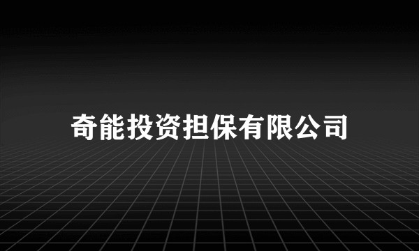 奇能投资担保有限公司