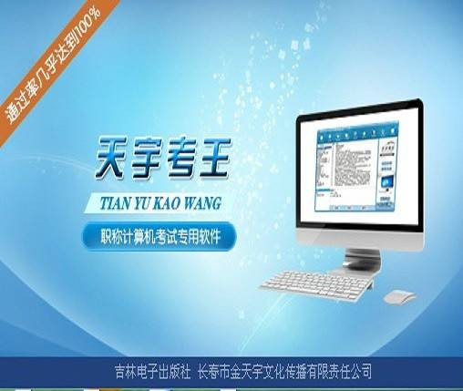 天宇考王Excel2003高级完整版