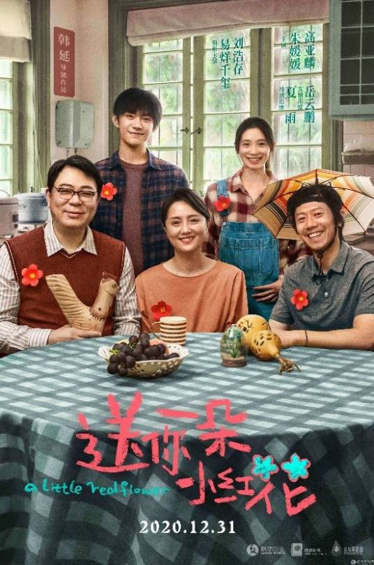 送你一朵小红花(2020年韩延执导的家庭剧情电影)