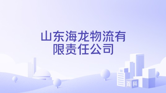 山东海龙物流有限责任公司