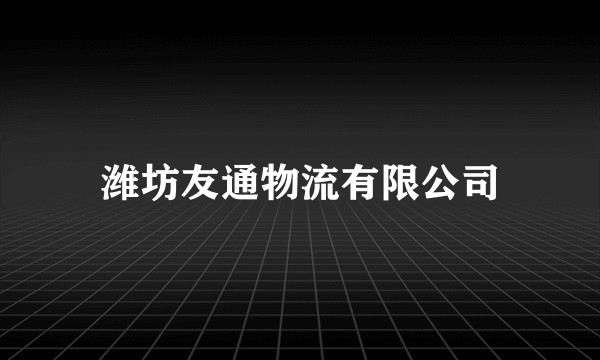 潍坊友通物流有限公司