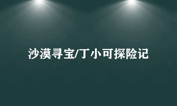 沙漠寻宝/丁小可探险记