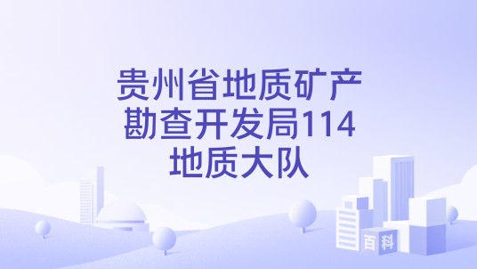 贵州省地质矿产勘查开发局114地质大队