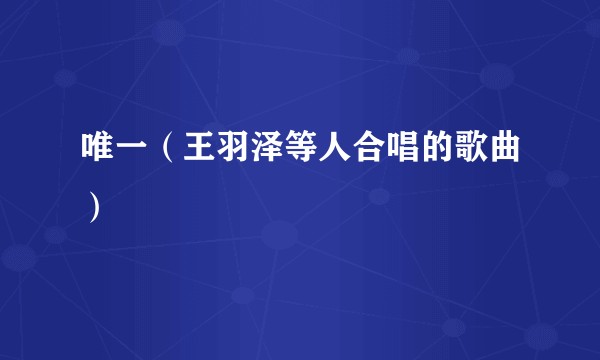 唯一（王羽泽等人合唱的歌曲）