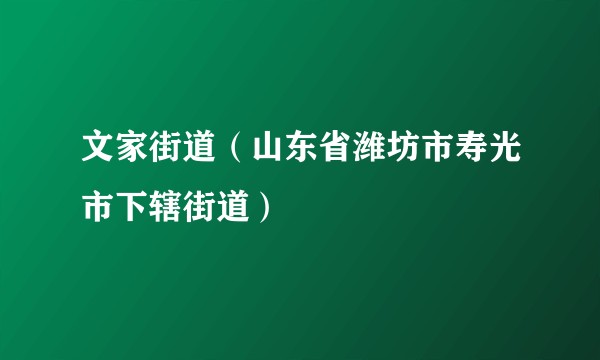文家街道（山东省潍坊市寿光市下辖街道）