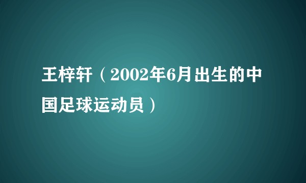 王梓轩（2002年6月出生的中国足球运动员）