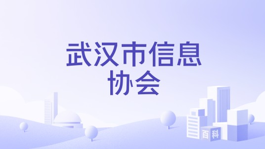 武汉市信息协会
