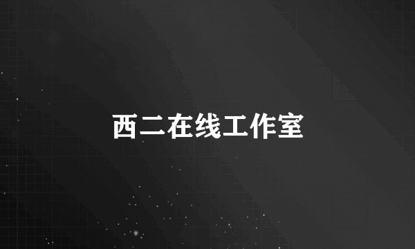 西二在线工作室