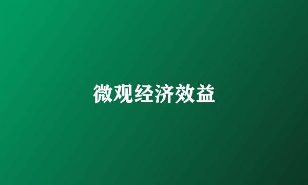 微观经济效益