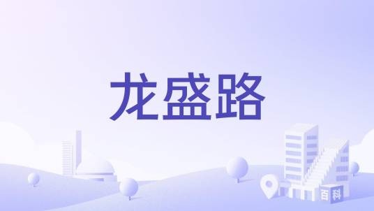 龙盛路（兴义市龙盛路）