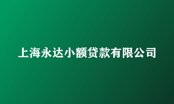 上海永达小额贷款有限公司