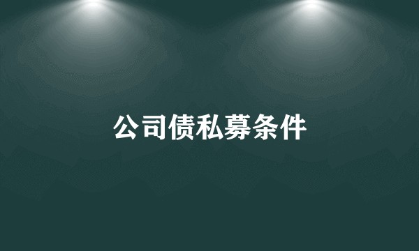 公司债私募条件