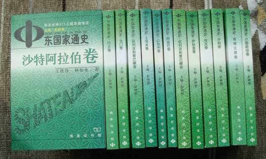 中东国家通史（彭树智教授编著的图书）