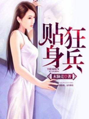 贴身狂兵(神起中文网小说)