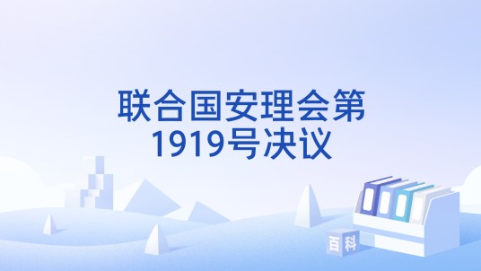 联合国安理会第1919号决议