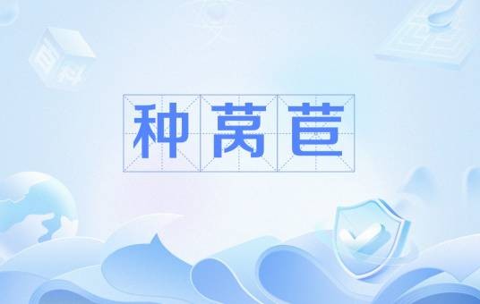 种莴苣