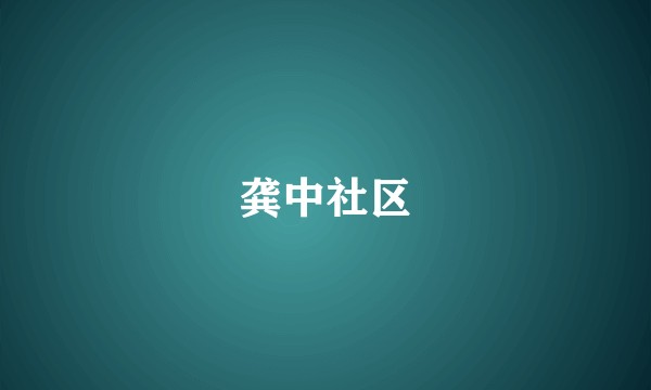 龚中社区