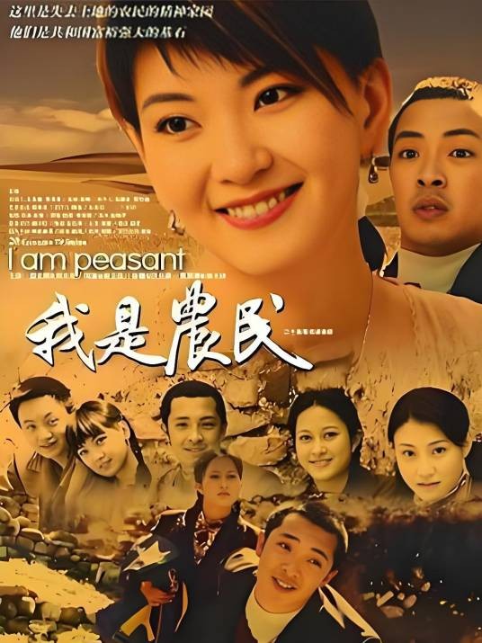 我是农民（2005年武斐执导的农村剧）