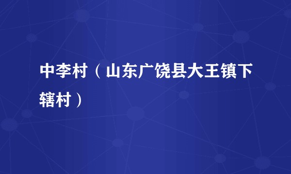 中李村（山东广饶县大王镇下辖村）