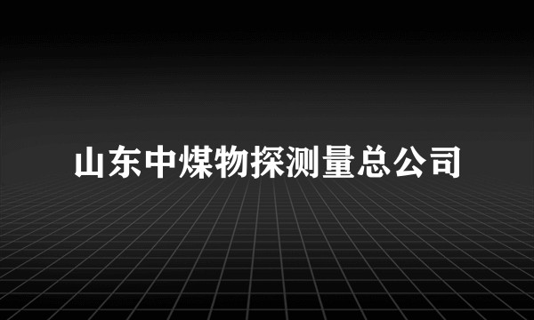 山东中煤物探测量总公司
