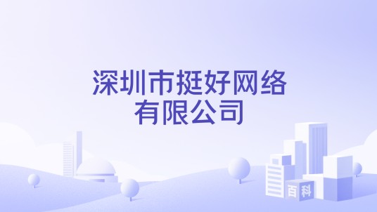 深圳市挺好网络有限公司
