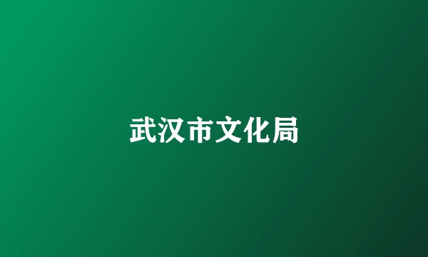 武汉市文化局