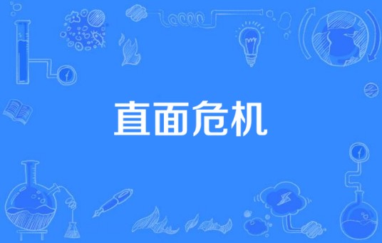 直面危机(2005年巴特尔执导的悬疑剧)