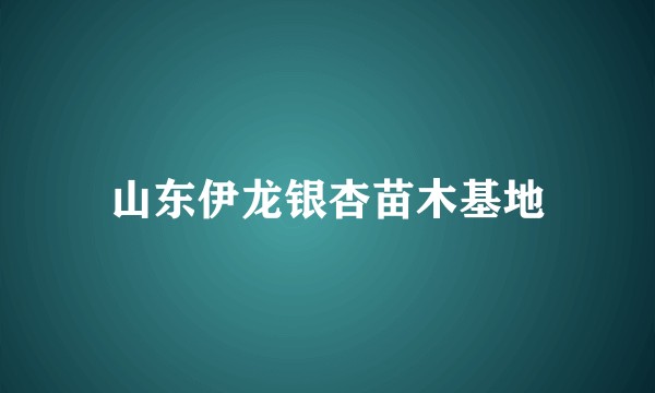 山东伊龙银杏苗木基地