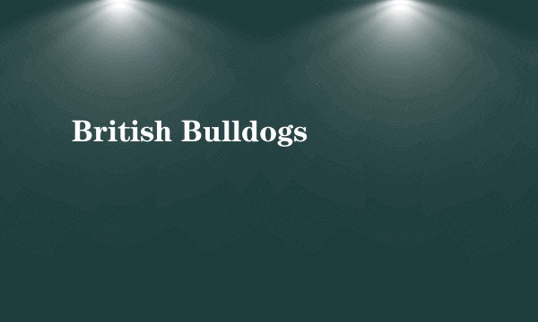 British Bulldogs
