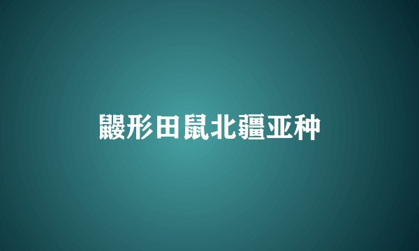 鼹形田鼠北疆亚种