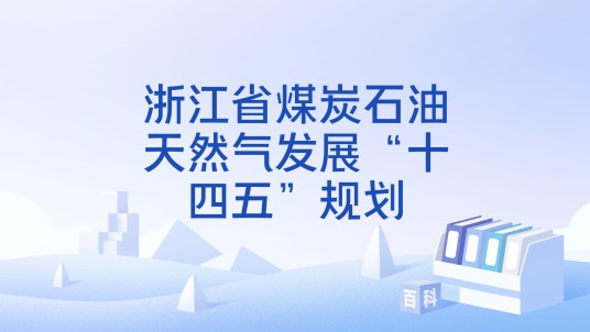 浙江省煤炭石油天然气发展“十四五”规划