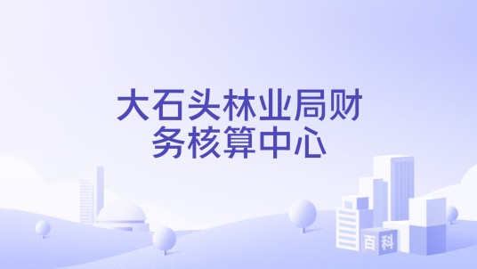 大石头林业局财务核算中心