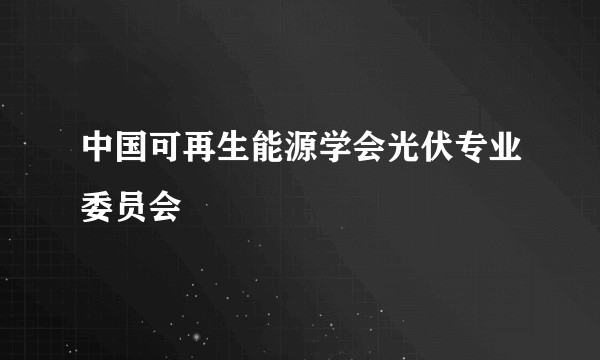 中国可再生能源学会光伏专业委员会