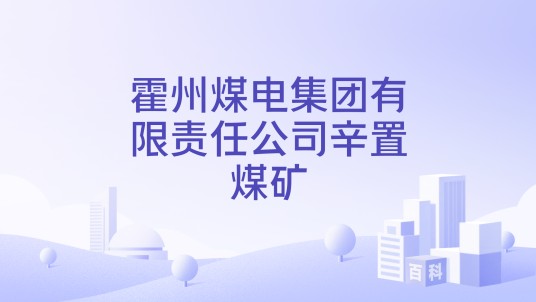 霍州煤电集团有限责任公司辛置煤矿