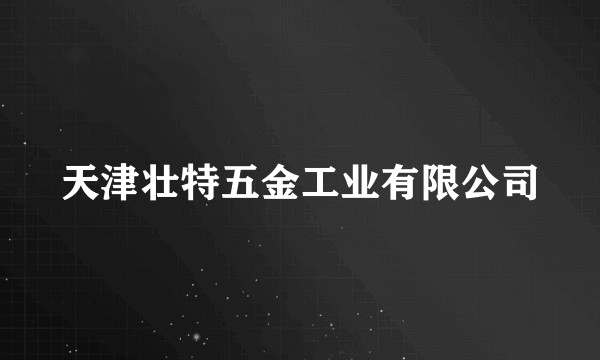 天津壮特五金工业有限公司