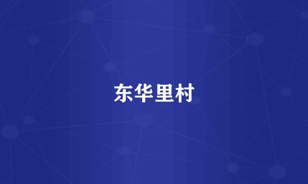 东华里村