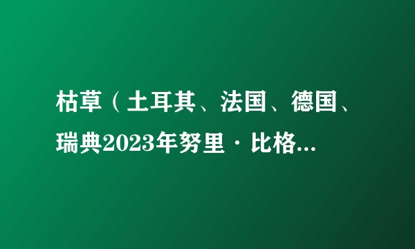 枯草（土耳其、法国、德国、瑞典2023年努里·比格·锡兰执导的电影）